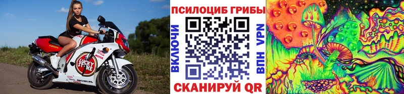 Галлюциногенные грибы мицелий  Таруса 